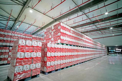 雪花啤酒涼山工廠竣工，開啟高質量發展新征程